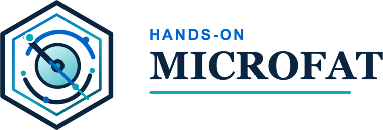 Hands-on Microfat by Medico da Dor 2.0